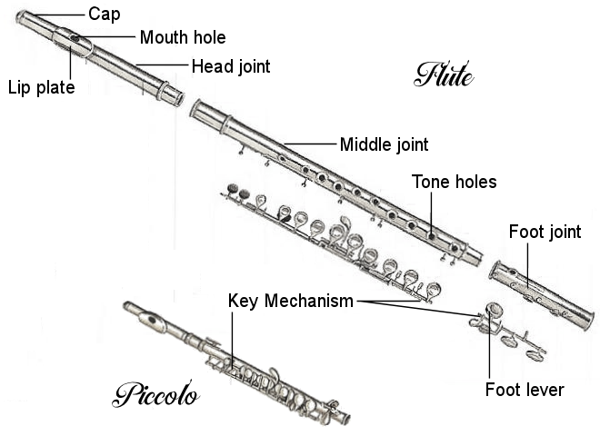 Flutes