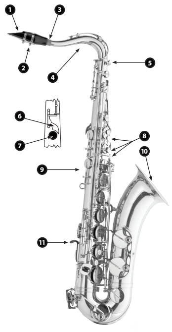Tenor Saxophones